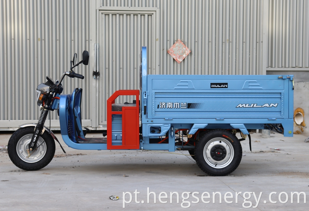 Cargo Electric Tricycle